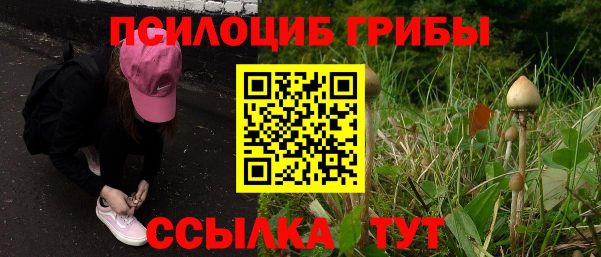 Галлюциногенные грибы Magic Shrooms Нефтекамск